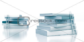 stack of books with a ladder on a white background