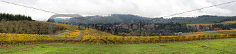 Dundee Oregon Vineyards Sweeping View Panorama