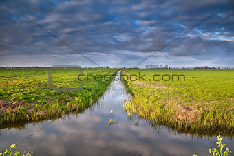 canal in Dutch farmland with reflected sky