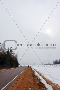 Roadside and forest in desember
