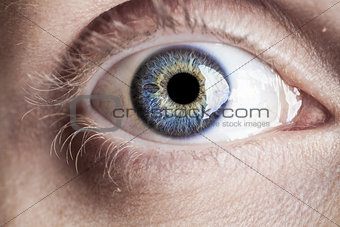 Macro blue eye with lots of details