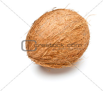 single coconut 