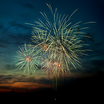 Brightly colorful fireworks  in the night sky 