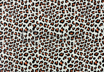 Leopard Spots Background 
