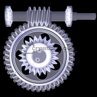 White shafts, gears and bearings