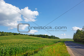 Summer landscape with road and blue sky