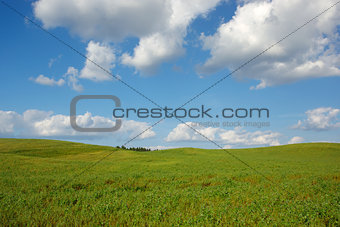 Summer landscape with meadow and blue sky