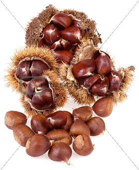 Chestnuts