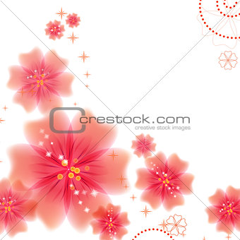 Red flowers and reflections on a white background