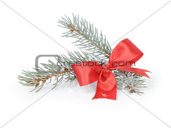 blue spruce twig with ribbon bow