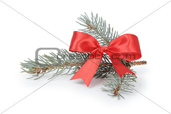 blue spruce twig with ribbon bow