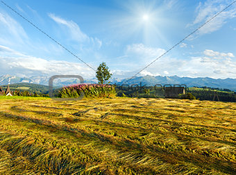 Summer mountain evening country view with mown field