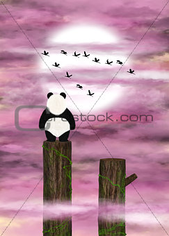 Panda dreamer and pink clouds