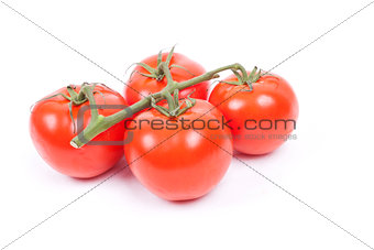 tomatos on a vine on a white background