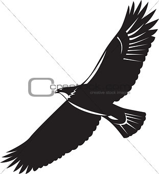 American Eagle Flying Woodcut