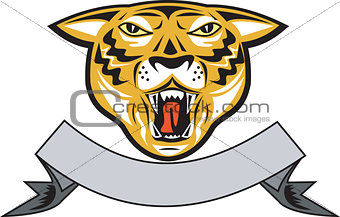 Tiger Head Growl Head Isolated