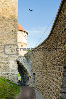 Park at medieval towers of Tallinn