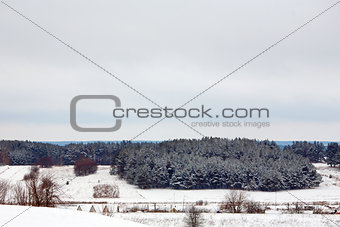 Rural winter landscape with a village and forest