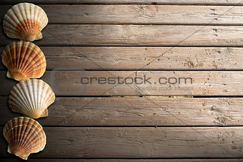 Seashells on Wooden Boardwalk with Sand