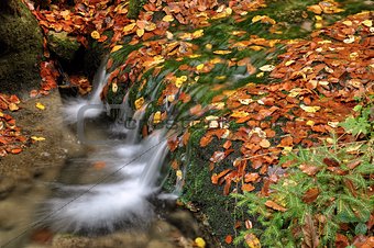 Autumn creek 