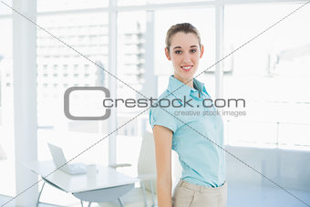 Gorgeous businesswoman wearing blue blouse posing in her office