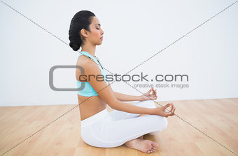 Lovely calm woman meditating in lotus position