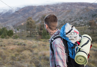 Man with backpack standing on forest landscape