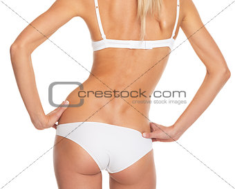 Closeup on torso of young woman in lingerie . rear view