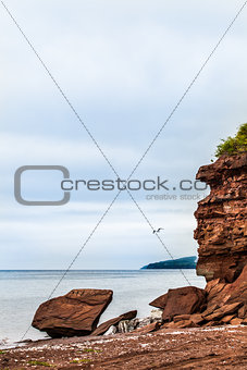Beautiful Landscape of a Cliff and Seagull Passing by