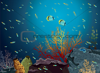 Coral reef and butterflyfishes.