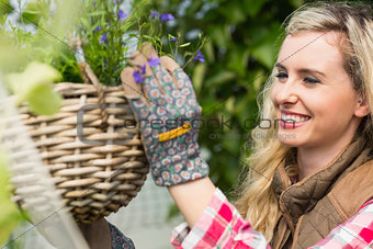 Smiling woman fixing a hanging flower basket