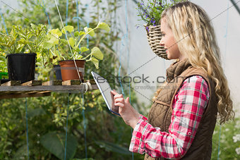 Blonde woman using her tablet in a green house