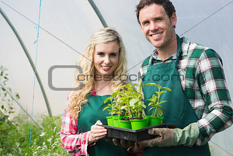 Young couple showing carton of small plants