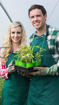 Happy couple showing carton of small plants