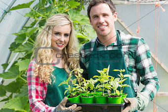 Smiling couple showing carton of small plants