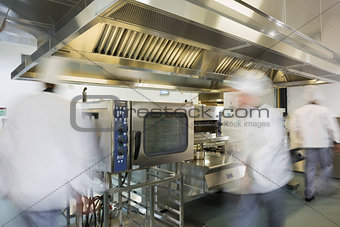 Team of chefs working in a commercial kitchen