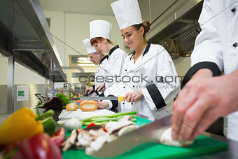 Four chefs preparing food at counter in a row
