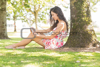 Stylish attractive brunette sitting under a tree using tablet
