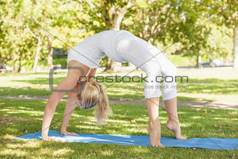Fit young woman doing crab yoga pose