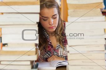 Concentrated pretty student studying between piles of books