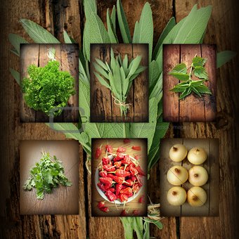 Vintage collage of fresh herbs