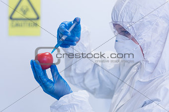 Researcher in protective suit injecting tomato at lab