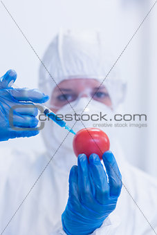 Researcher in protective suit injecting tomato at lab