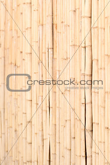 Wooden wall of bamboo 