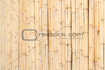 Wooden wall of bamboo close-up