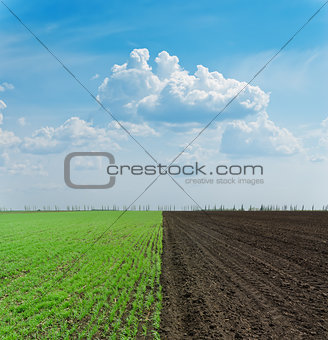 green and black ploughed field under blue sky
