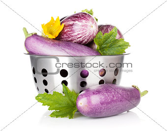 Fresh ripe eggplants in colander