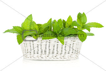 Basket of fresh mint