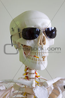 sunglasses skull
