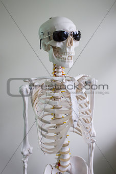 skeleton with sunglasses